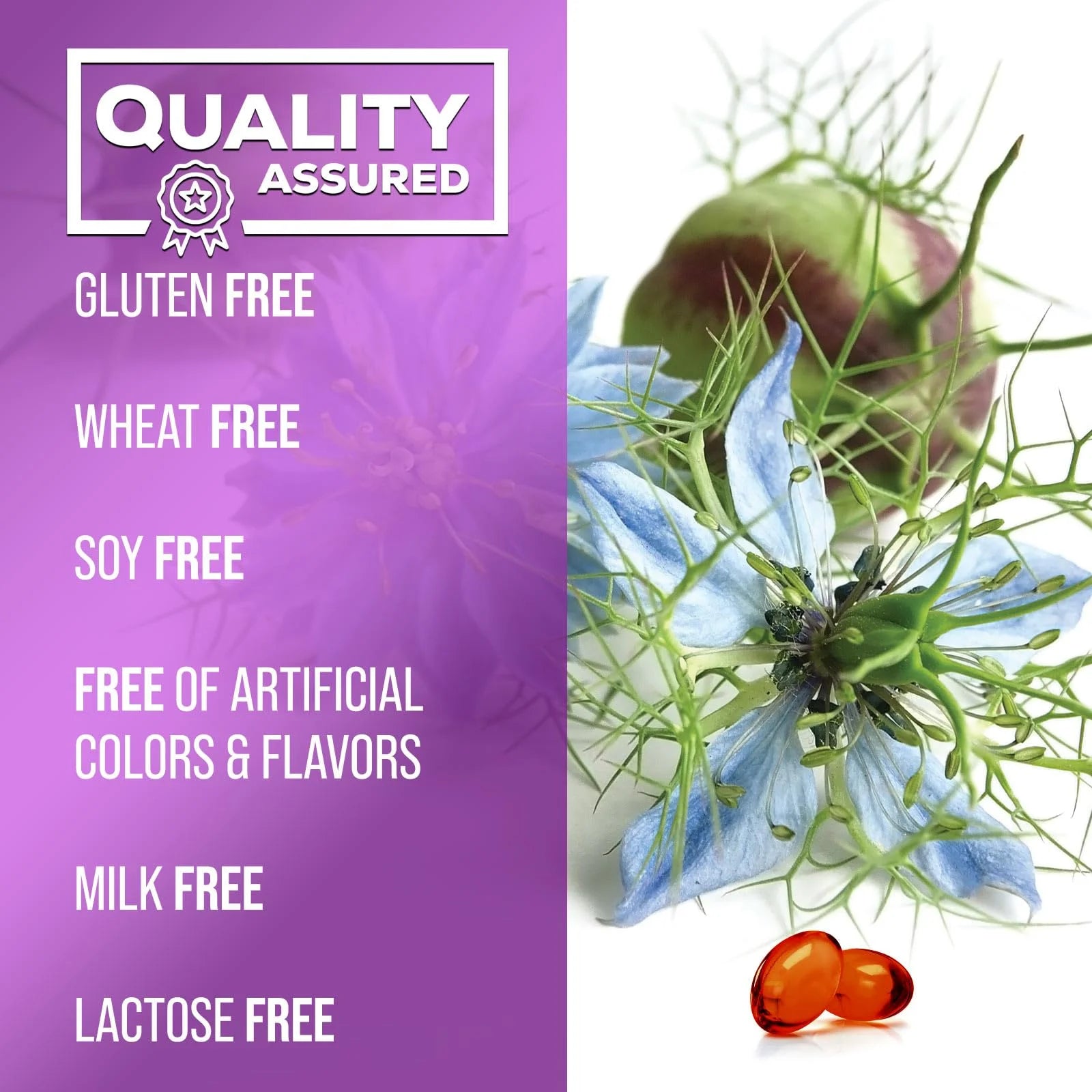 Black Seed Oil Capsules 1000Mg with Thymoquinone - Pure Nigella Sativa for Skin Health & Immune Support, 100% Blackseed Oil, Amazing Extraction above Cold Pressed Black Cumin Seed - 60 Softgels